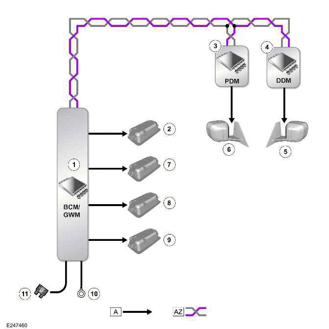 Interior Lighting